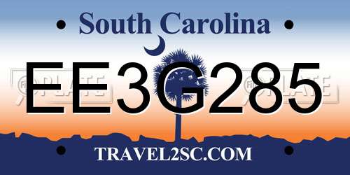 EE3G285 South Carolina License Plate