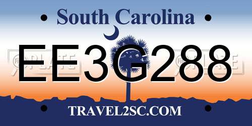 EE3G288 South Carolina License Plate