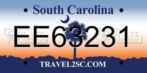 EE63231 South Carolina License Plate