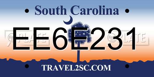 EE6E231 South Carolina License Plate