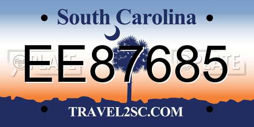 EE87685 South Carolina License Plate