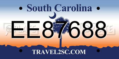 EE87688 South Carolina License Plate