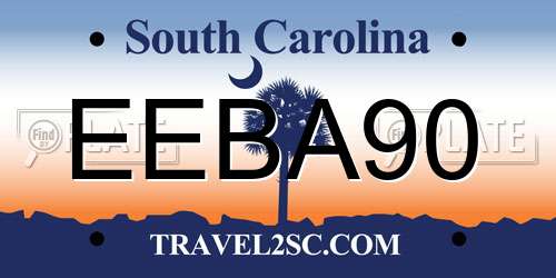 EEBA90 South Carolina License Plate