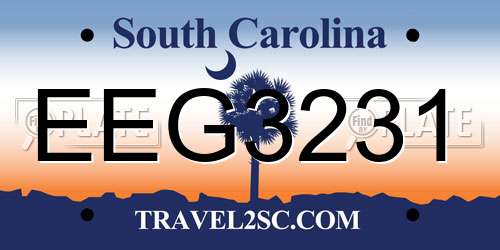 EEG3231 South Carolina License Plate
