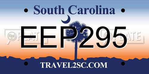 EEP295 South Carolina License Plate