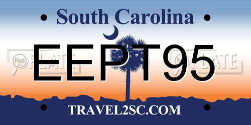 EEPT95 South Carolina License Plate