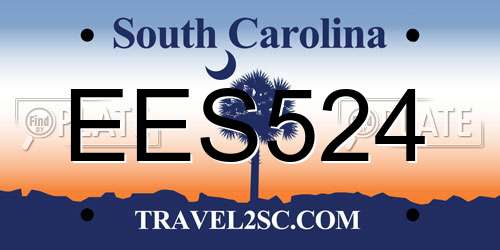 EES524 South Carolina License Plate