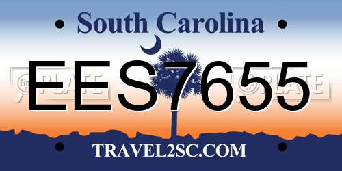 EES7655 South Carolina License Plate