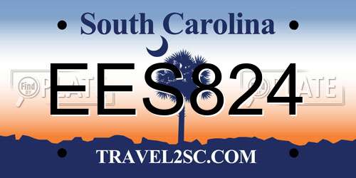 EES824 South Carolina License Plate