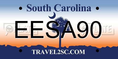 EESA90 South Carolina License Plate