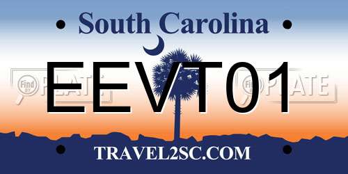 EEVT01 South Carolina License Plate