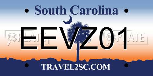 EEVZ01 South Carolina License Plate