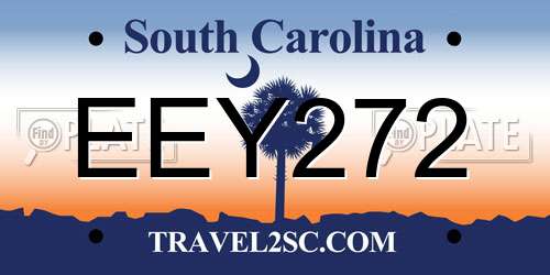 EEY272 South Carolina License Plate