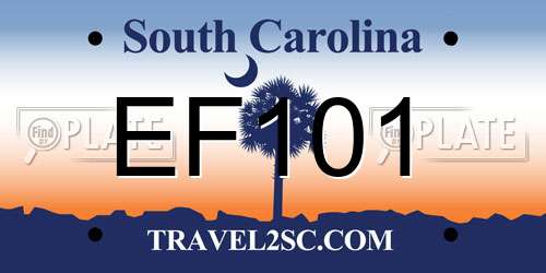 EF101 South Carolina License Plate