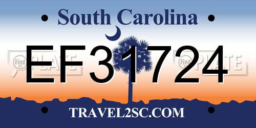 EF31724 South Carolina License Plate