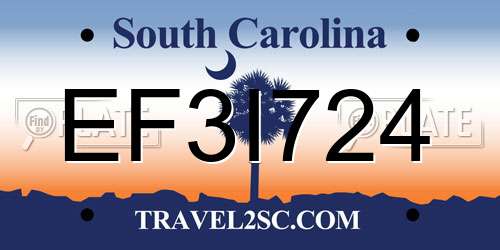 EF3I724 South Carolina License Plate