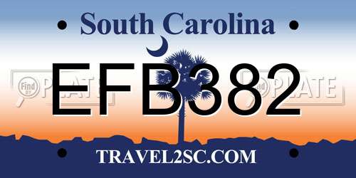 EFB382 South Carolina License Plate