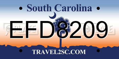 EFD8209 South Carolina License Plate