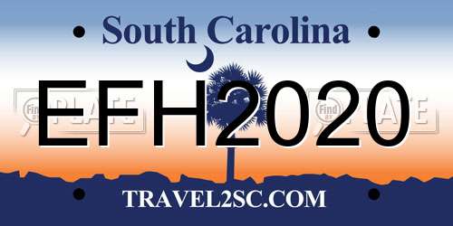 EFH2020 South Carolina License Plate