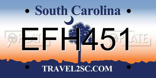 EFH451 South Carolina License Plate