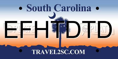 EFHTDTD South Carolina License Plate