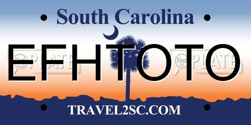 EFHTOTO South Carolina License Plate