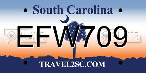 EFW709 South Carolina License Plate