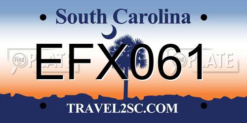 EFX061 South Carolina License Plate