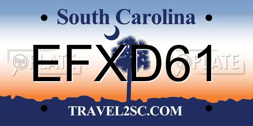 EFXD61 South Carolina License Plate