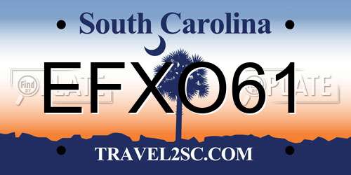 EFXO61 South Carolina License Plate