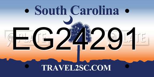 EG24291 South Carolina License Plate