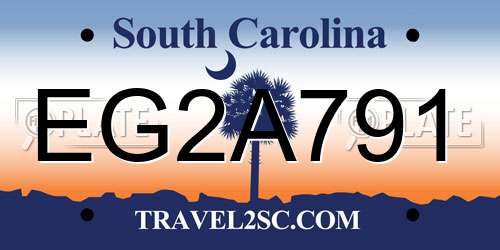 EG2A791 South Carolina License Plate