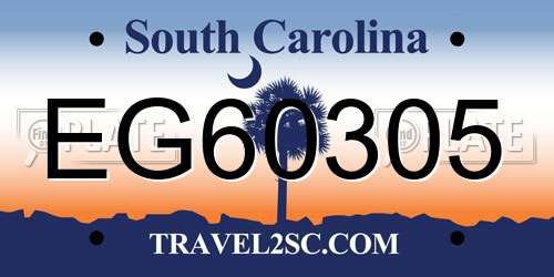 EG60305 South Carolina License Plate