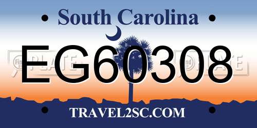 EG60308 South Carolina License Plate