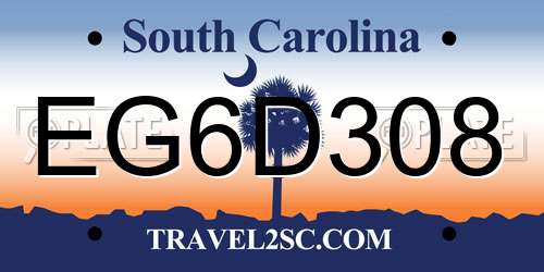 EG6D308 South Carolina License Plate
