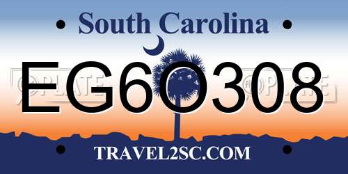 EG6O308 South Carolina License Plate