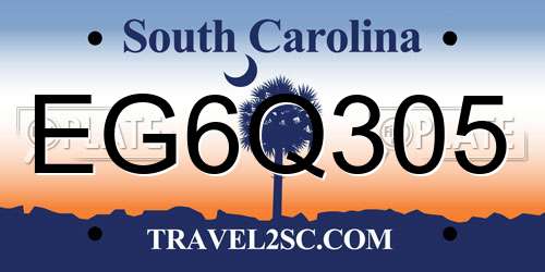 EG6Q305 South Carolina License Plate