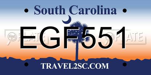 EGF551 South Carolina License Plate