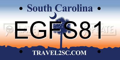 EGFS81 South Carolina License Plate