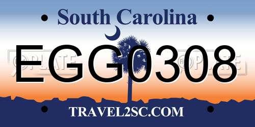 EGG0308 South Carolina License Plate