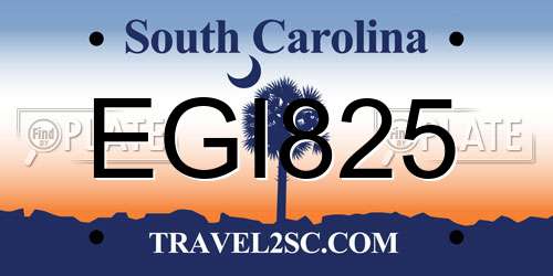 EGI825 South Carolina License Plate