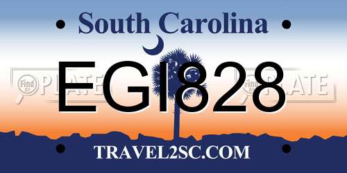 EGI828 South Carolina License Plate