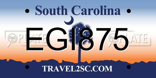 EGI875 South Carolina License Plate