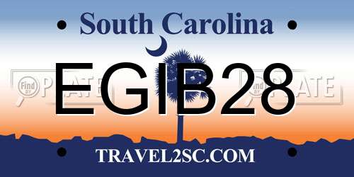 EGIB28 South Carolina License Plate