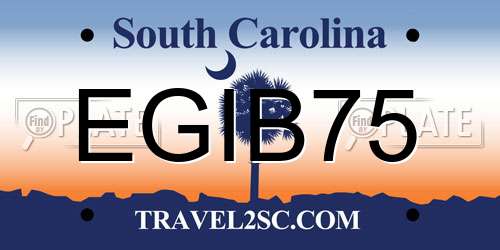 EGIB75 South Carolina License Plate