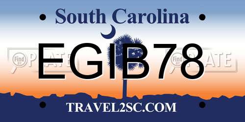 EGIB78 South Carolina License Plate
