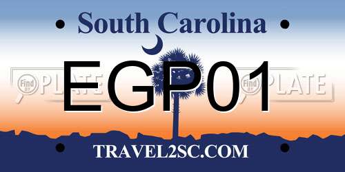 EGP01 South Carolina License Plate