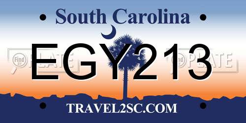 EGY213 South Carolina License Plate