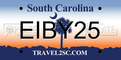 EIBY25 South Carolina License Plate