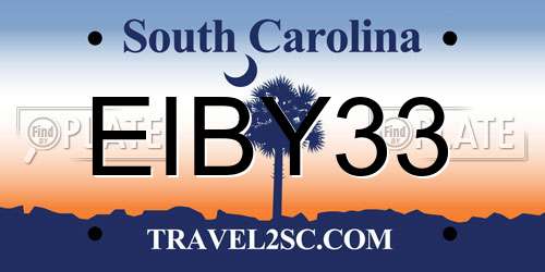 EIBY33 South Carolina License Plate